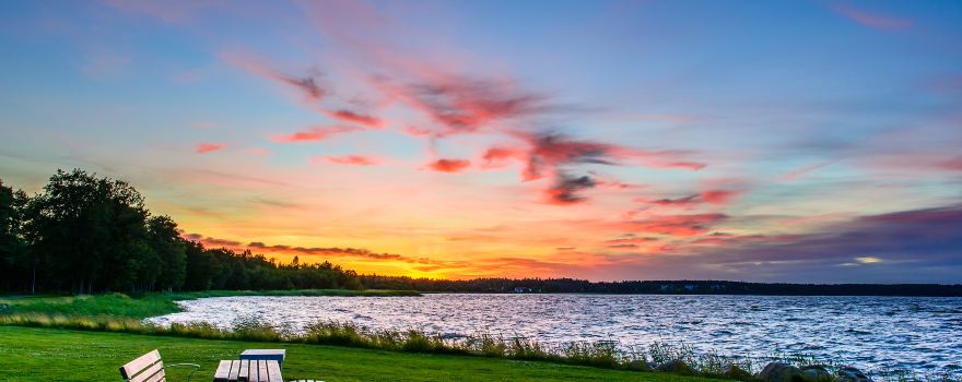 마리에스타드 시