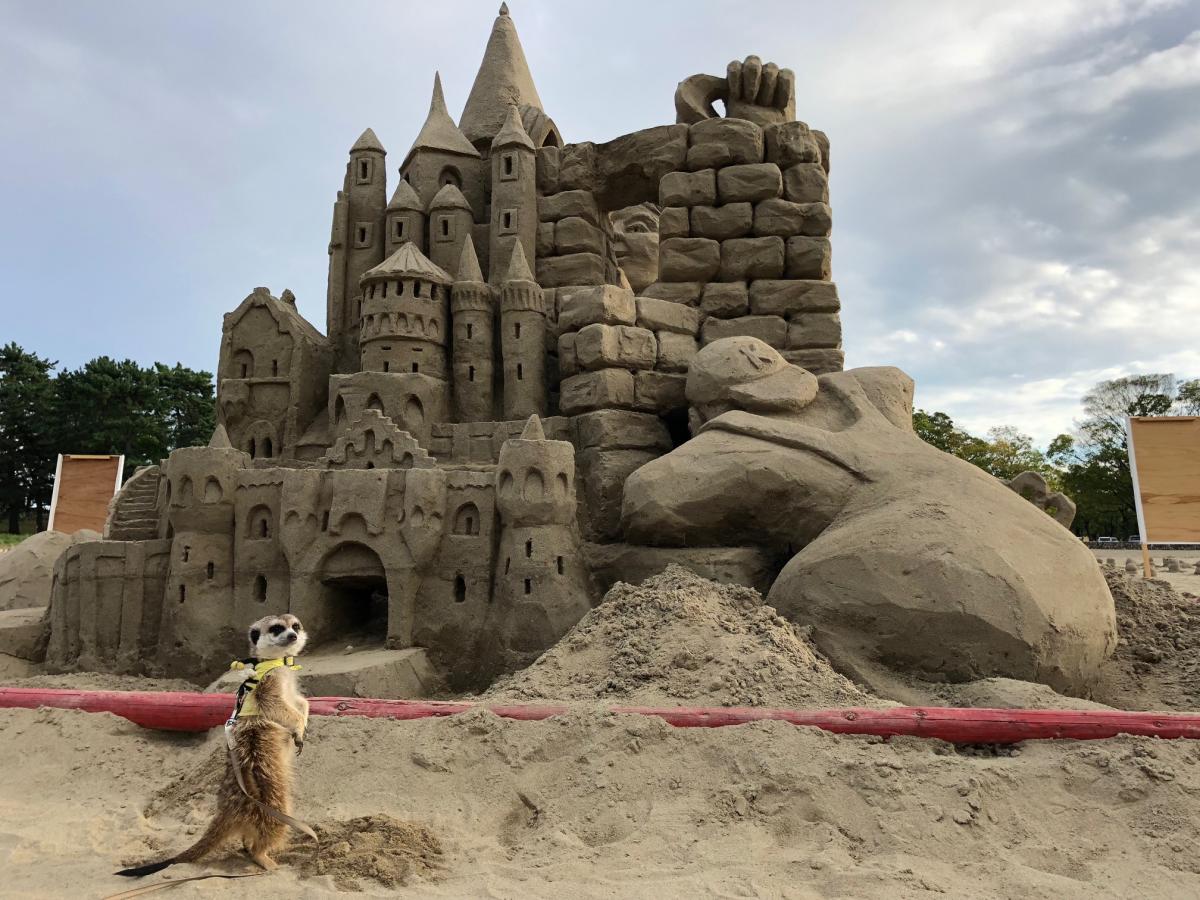 Inazawa Sand Festa | Inazawa