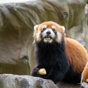 Guangzhou Zoo