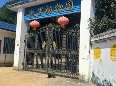 Kaili Zoo