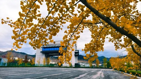 Yalu River National Gate Scenic Area attraction in Тунхуа
