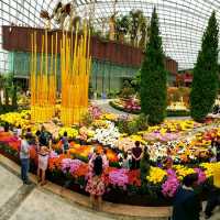 ชมความอลังการ ของGarden ที่สิงคโปร์