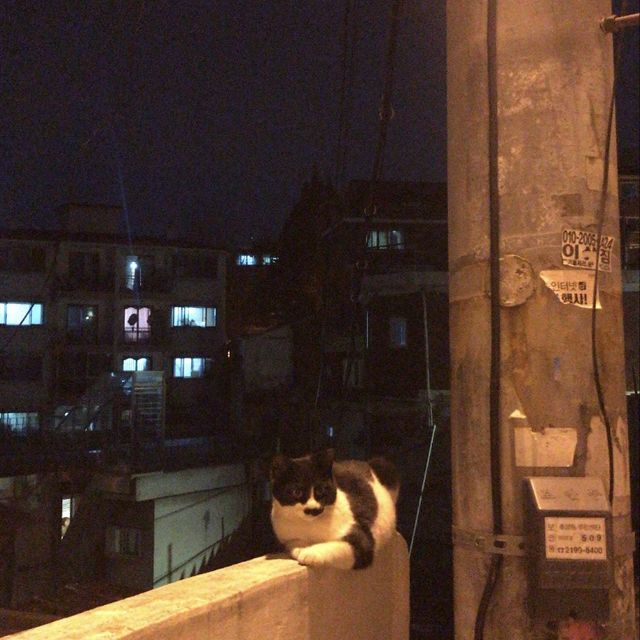저녁 데이트는 해방촌에서! 