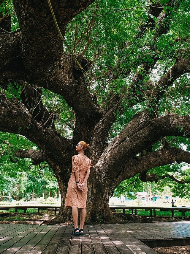 Amazing ต้มจามจุรียักษ์ กาญจนบุรี