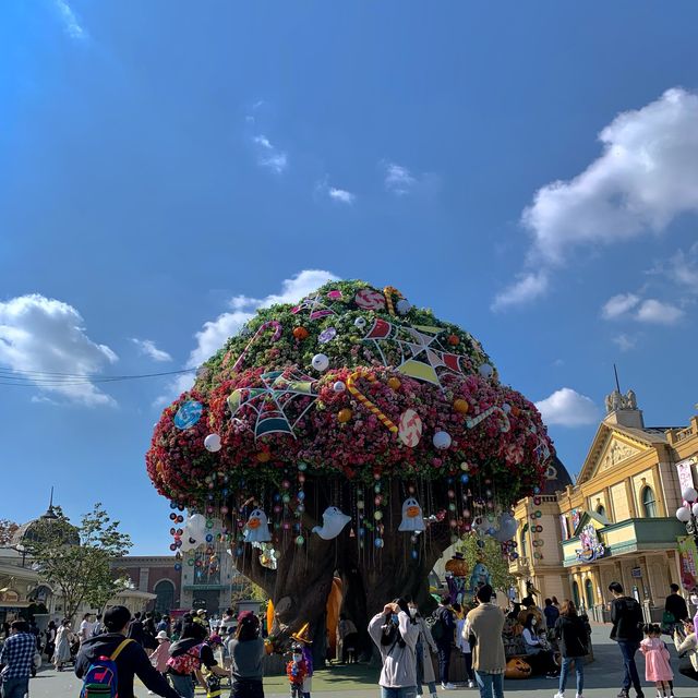 용인 [에버랜드]