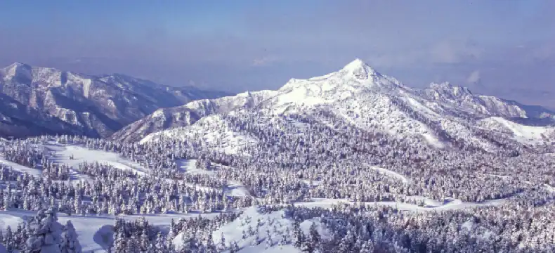 鄰近Snow Monkey Resorts Info & Gift Shop的酒店