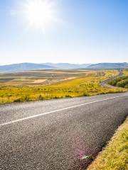 Grass Skyline Scenic Road