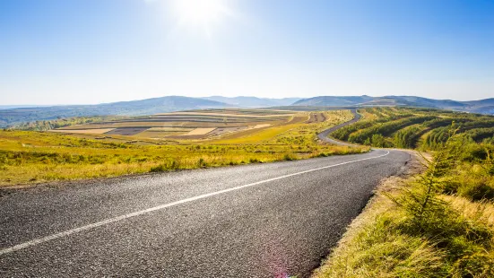 Grass Skyline Scenic Road