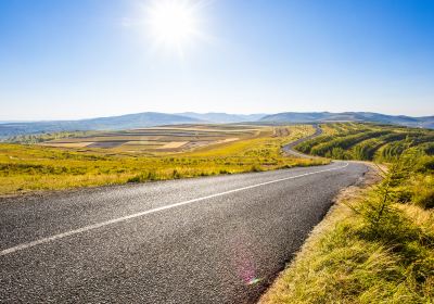 Grass Skyline Scenic Road