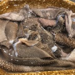 大龙火锅(老店) User Photo