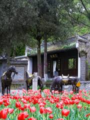 Gulongzhong Scenic Resort