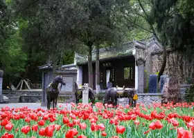 Gulongzhong Scenic Resort