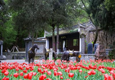 Gulongzhong Scenic Resort