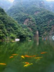Wulong Pond