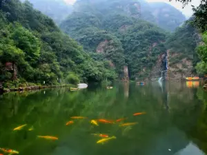 Wulong Pond