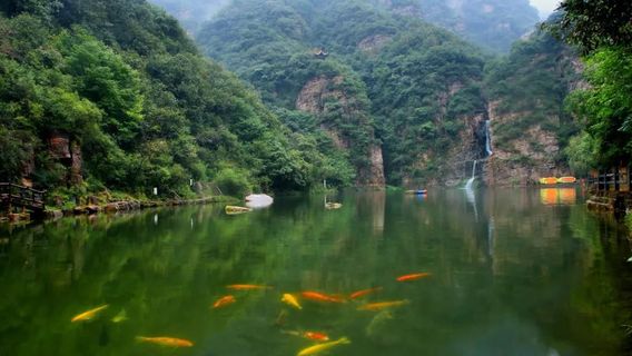 Wulong Pond