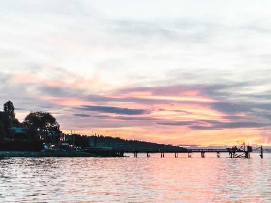 Kitsilano Beach