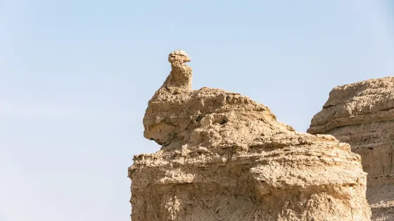 孔雀玉立(柱狀雅丹)