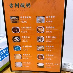 Gushu Yogurt User Photo
