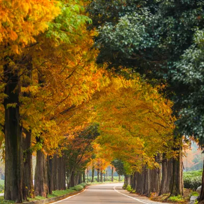 Отели рядом с достопримечательностью «Корейский Национальный Морской Музей»