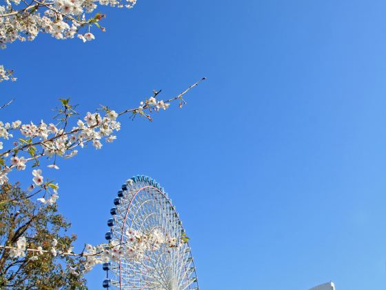 Asiatique Sky