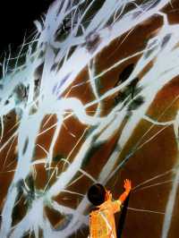 TeamLab Borderless- Transcending Artwork