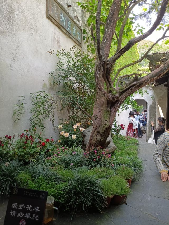 Lingering Garden