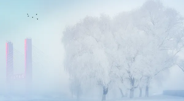 제트블루 비에케스 항공권