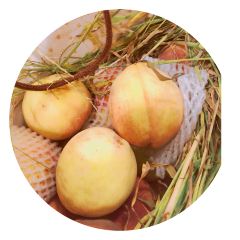 醉得意·家常菜(福湾店) User Photo