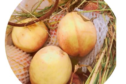 醉得意·家常菜(福湾店)