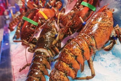 半岛海鲜自助餐厅