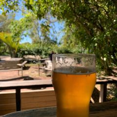 Mussel Inn User Photo