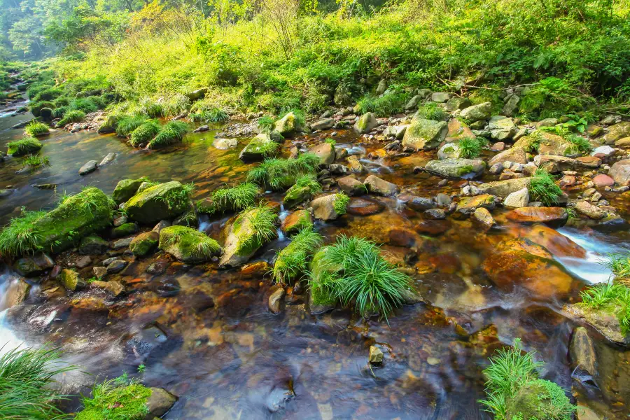 Xianren Brook