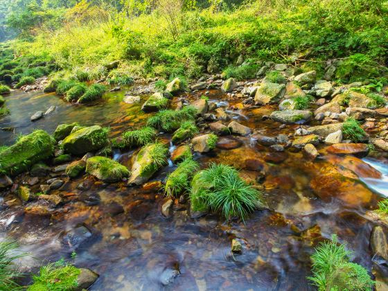 Xianren Brook