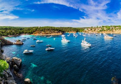 Calvia