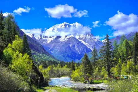 Yala Snow Mountain