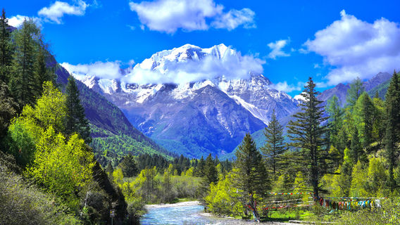 Yala Snow Mountain