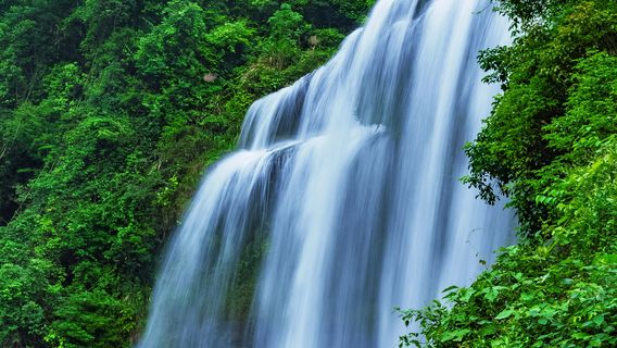 Dabeishan Forest Park Jingming Holiday Resort