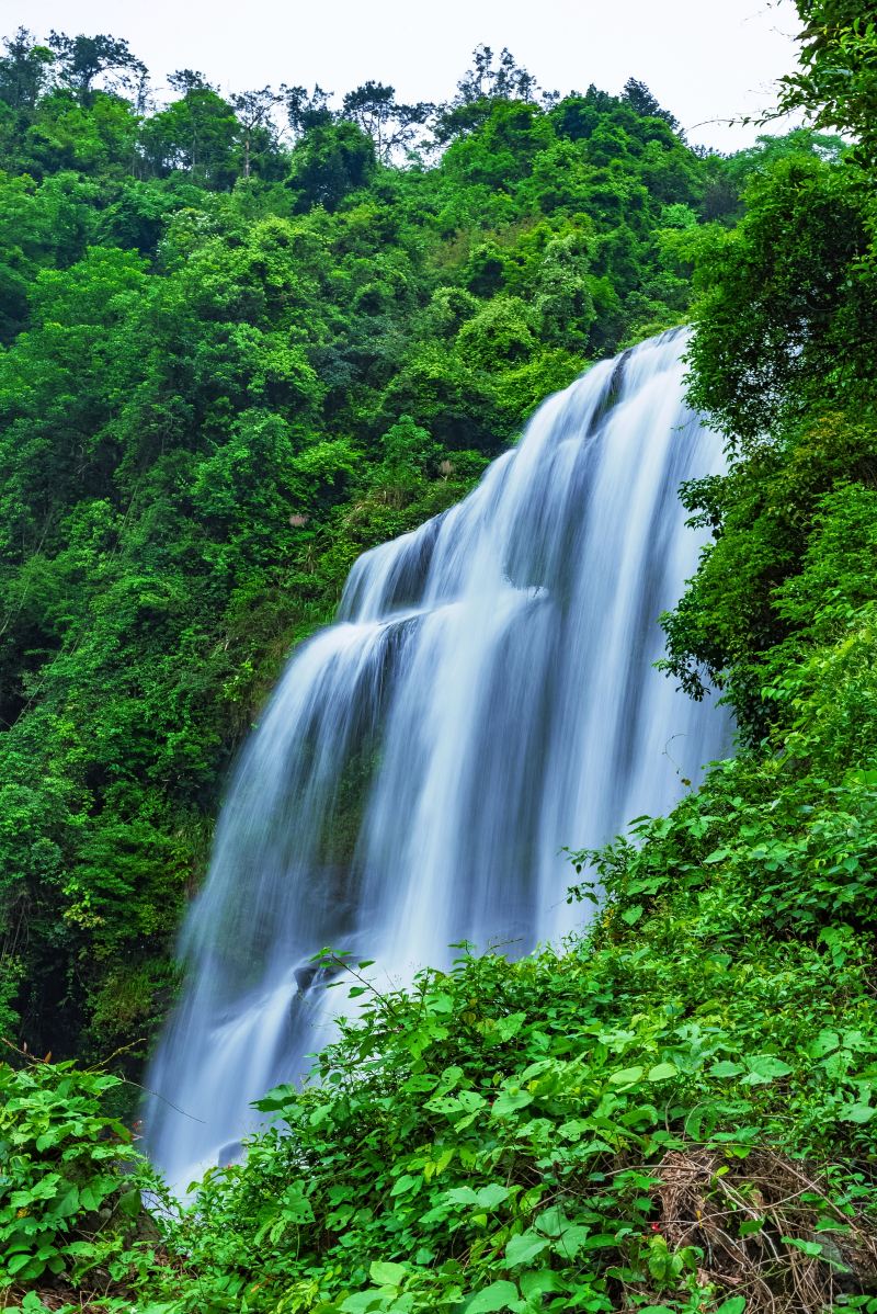 Dabeishan Forest Park