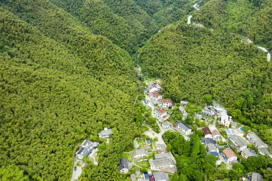 Huzhou Bowulong Tam