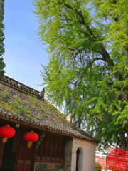 Zhaoqing Temple