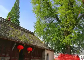 Zhaoqing Temple