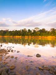 Parque Nacional del Manu