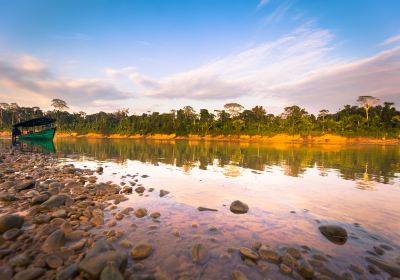 Manu National Park