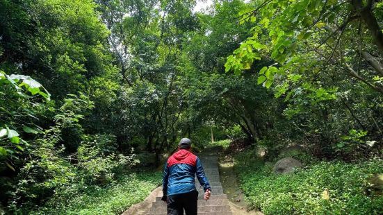 记录一下​打卡铁仔山​已经爬完深圳的梧桐山（好汉坡）、凤凰山