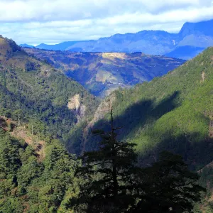 梨山