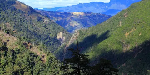 梨山