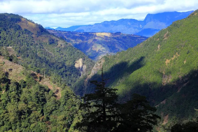 Отзывы об отеле Metropolis Hotel