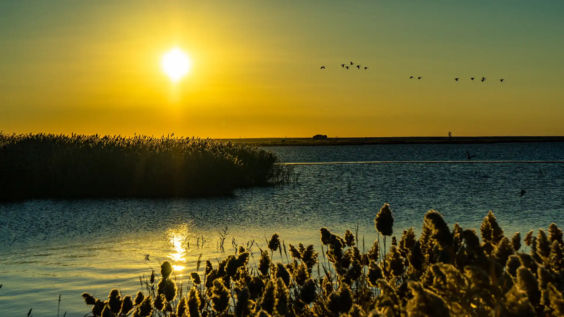 Hotels near Xinjuyanhai Park