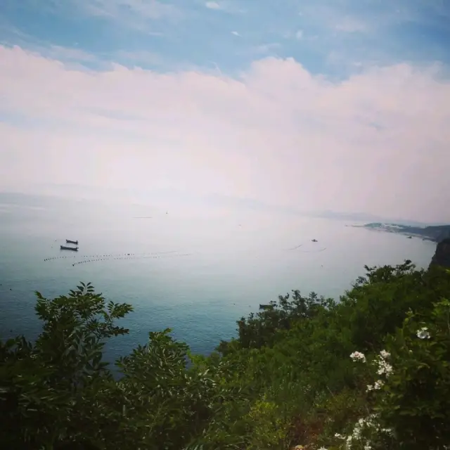 A relaxing trip in Dalian 💙